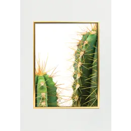 Cactus I 30x40 -
