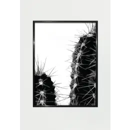Cactus III 30x40 -