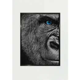 Gorilla 30x40 -